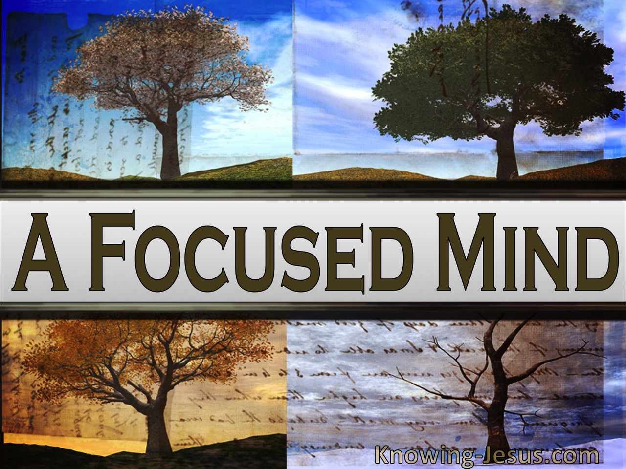 A Focused Mind (devotional)  (sage)